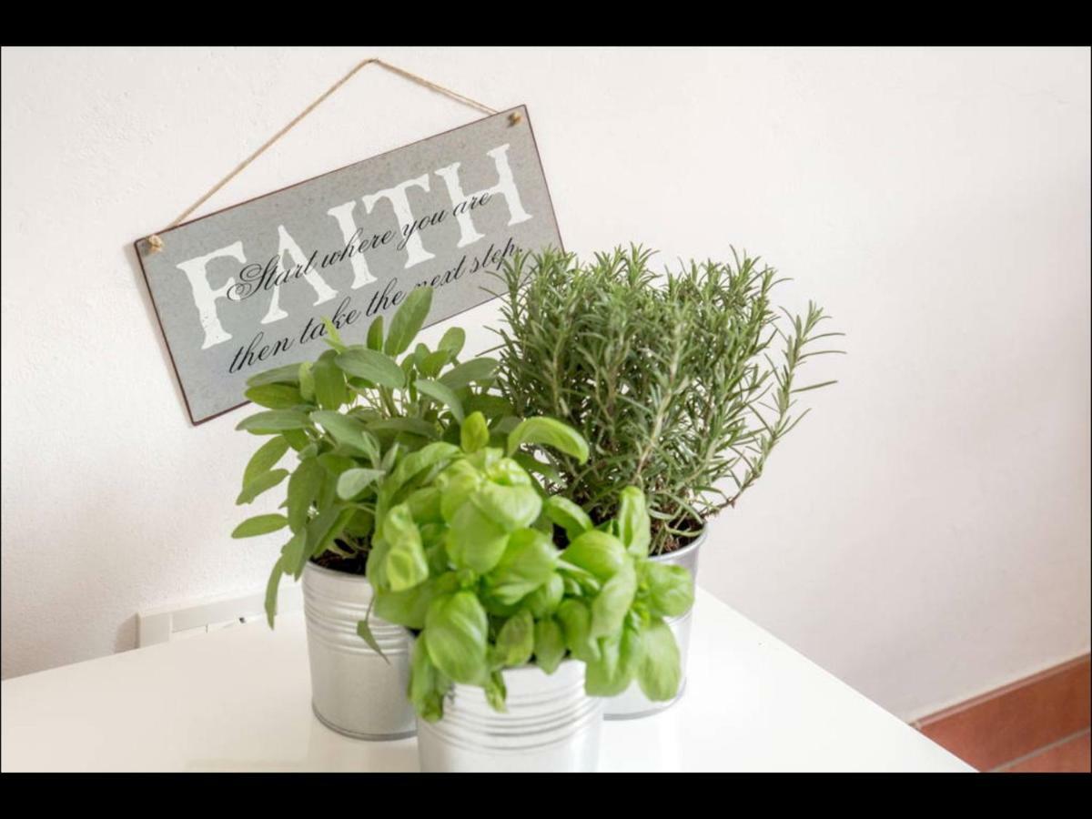 Susy Apartment, Lightly And Quiet With Gardnview Apartamento *